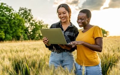 Nova convocatòria del Kit Digital per comunitats de béns, explotacions agràries i societats civils!