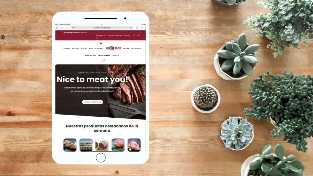 rediseño de commerce Cecarn: rediseño de e-commerce