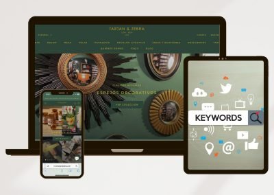 Tartan and Zebra: estratègia de posicionament SEO 2024