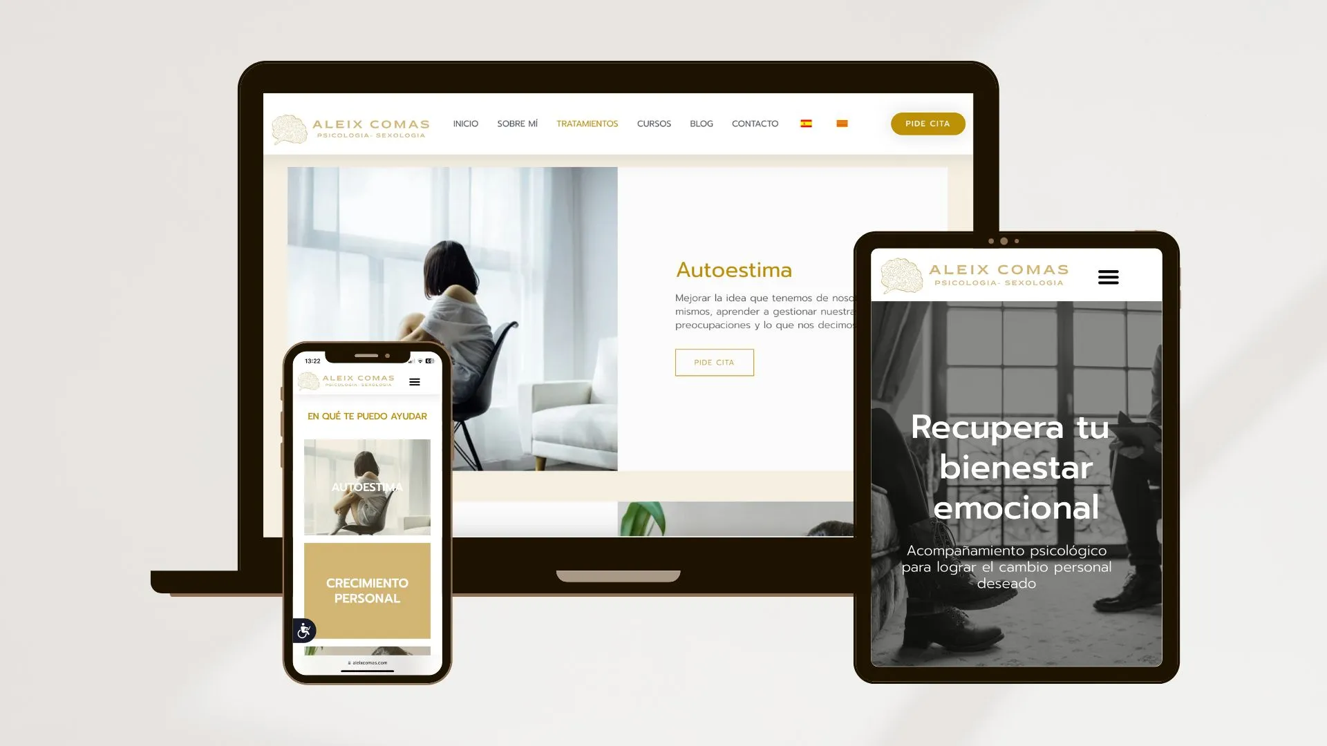 web corporativa amb el Kit Digital