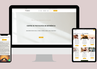 Projecte per Triangle Psicologia: Optimització SEO per Serveis Psicològics